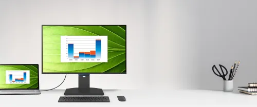 BenQ-23.8"-BL2490TC-商用護眼顯示器-(-IPS--100Hz--1920x1080--VESA100--HDMI&DP)